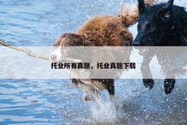 托业所有真题，托业真题下载
