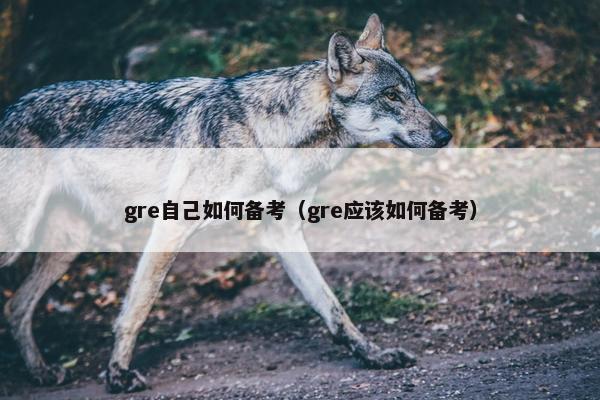 gre自己如何备考（gre应该如何备考）