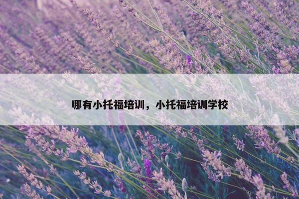 哪有小托福培训，小托福培训学校