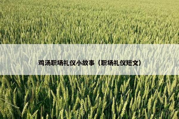 鸡汤职场礼仪小故事（职场礼仪短文）