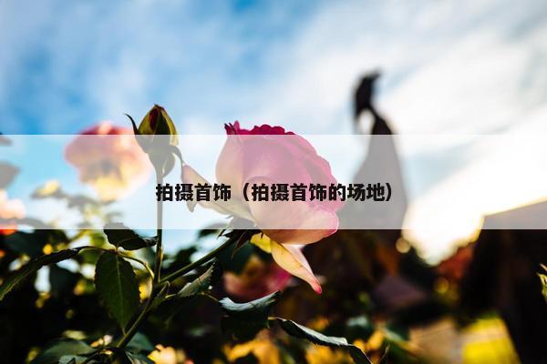拍摄首饰（拍摄首饰的场地）