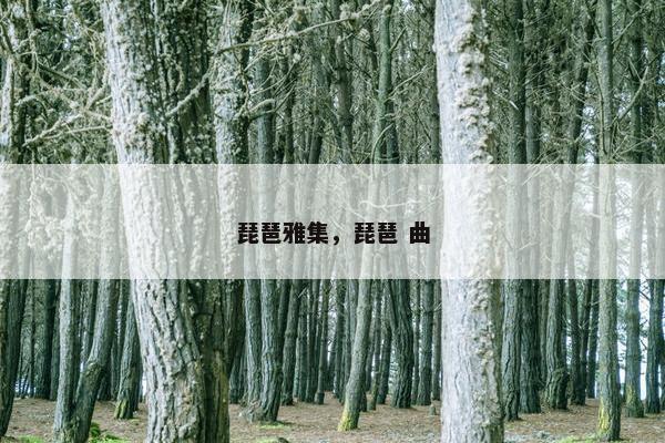 琵琶雅集，琵琶 曲