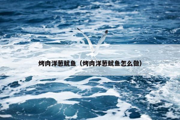 烤肉洋葱鱿鱼（烤肉洋葱鱿鱼怎么做）
