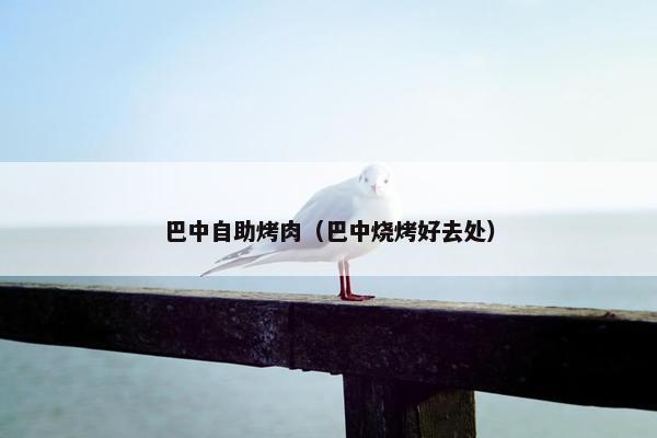 巴中自助烤肉（巴中烧烤好去处）