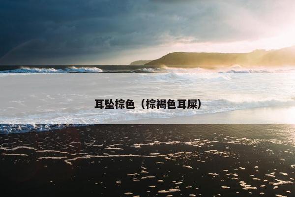 耳坠棕色（棕褐色耳屎）