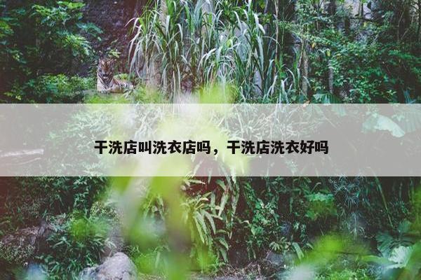 干洗店叫洗衣店吗，干洗店洗衣好吗