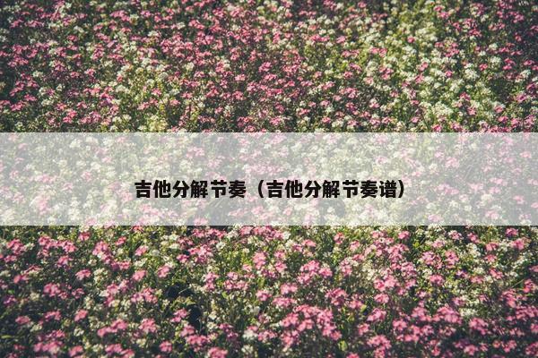 吉他分解节奏（吉他分解节奏谱）