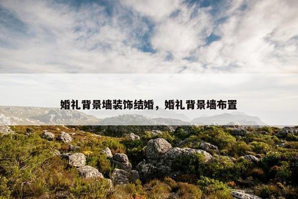 婚礼背景墙装饰结婚，婚礼背景墙布置