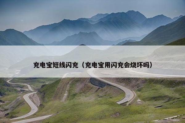充电宝短线闪充（充电宝用闪充会烧坏吗）