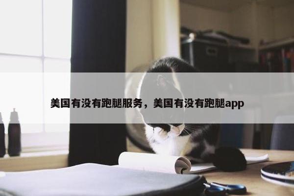 美国有没有跑腿服务，美国有没有跑腿app