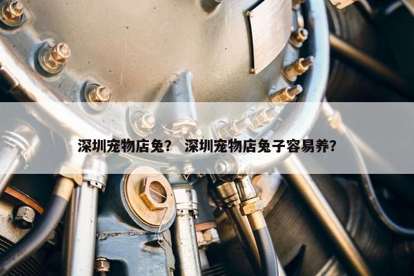 深圳宠物店兔？ 深圳宠物店兔子容易养？