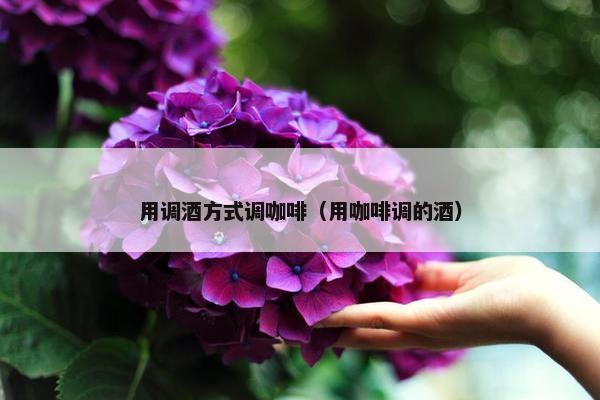 用调酒方式调咖啡（用咖啡调的酒）