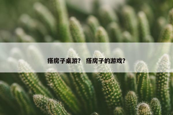 搭房子桌游？ 搭房子的游戏？