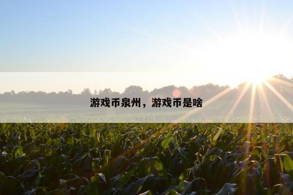 游戏币泉州，游戏币是啥