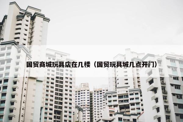 国贸商城玩具店在几楼（国贸玩具城几点开门）