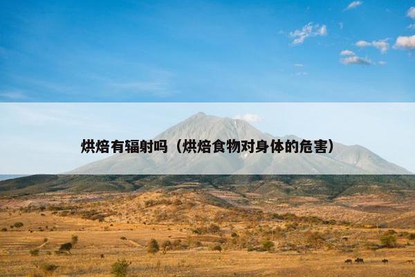 烘焙有辐射吗（烘焙食物对身体的危害）