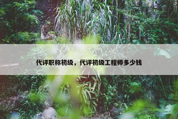 代评职称初级，代评初级工程师多少钱