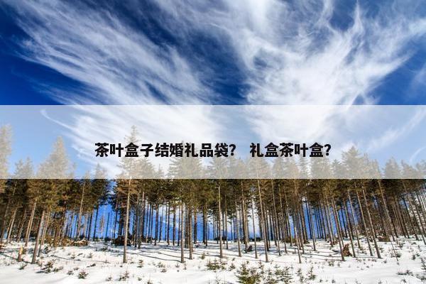茶叶盒子结婚礼品袋？ 礼盒茶叶盒？