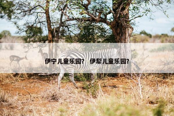 伊宁儿童乐园？ 伊犁儿童乐园？