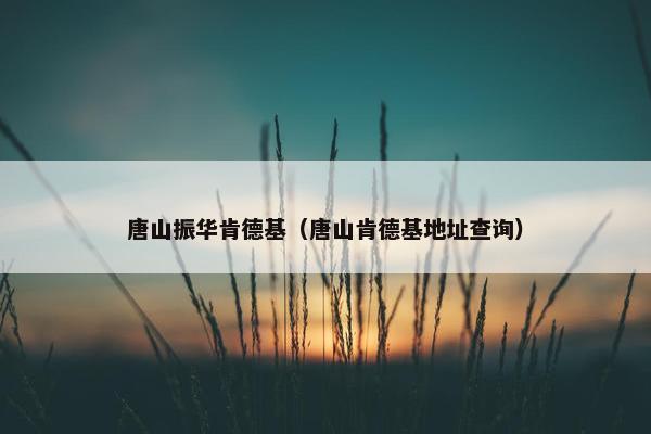 唐山振华肯德基（唐山肯德基地址查询）