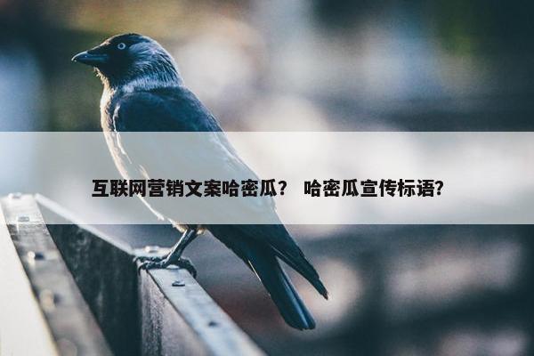 互联网营销文案哈密瓜？ 哈密瓜宣传标语？