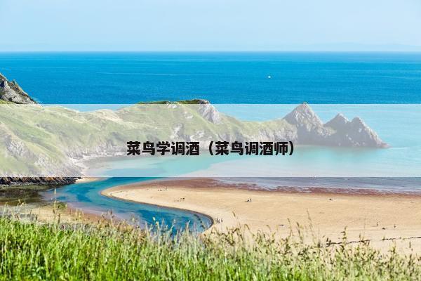 菜鸟学调酒（菜鸟调酒师）