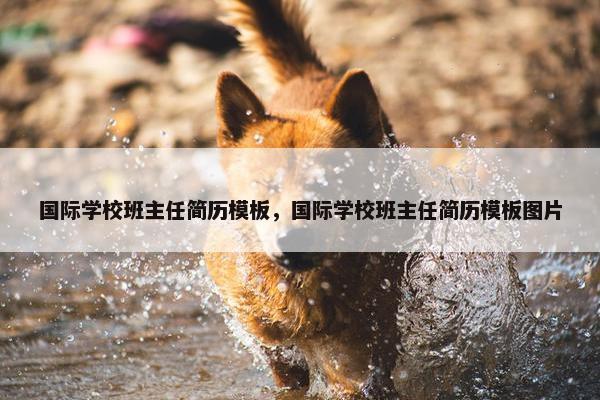 国际学校班主任简历模板，国际学校班主任简历模板图片