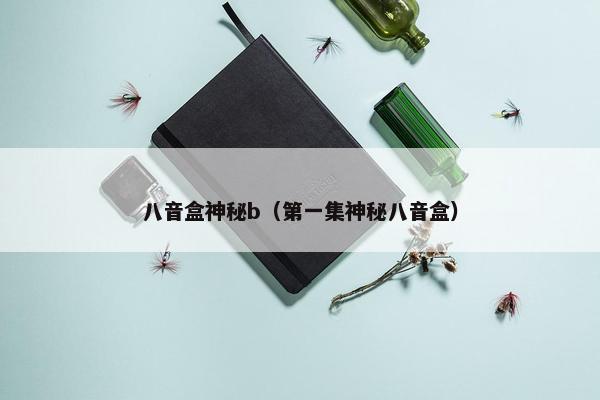 八音盒神秘b（第一集神秘八音盒）