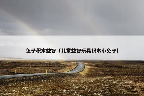 兔子积木益智（儿童益智玩具积木小兔子）