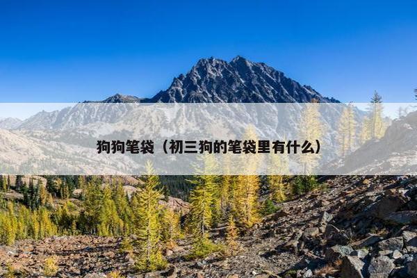 狗狗笔袋（初三狗的笔袋里有什么）