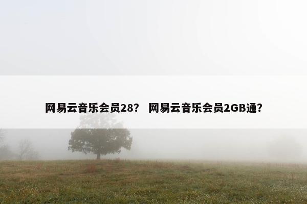 网易云音乐会员28？ 网易云音乐会员2GB通？