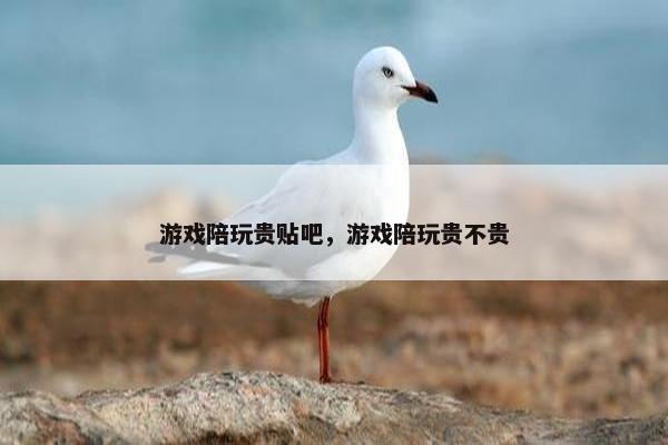 游戏陪玩贵贴吧，游戏陪玩贵不贵