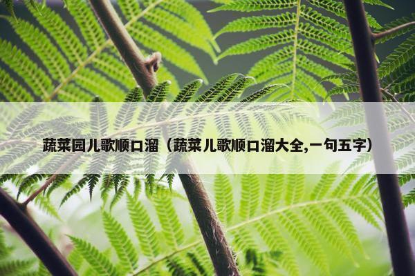 蔬菜园儿歌顺口溜（蔬菜儿歌顺口溜大全,一句五字）