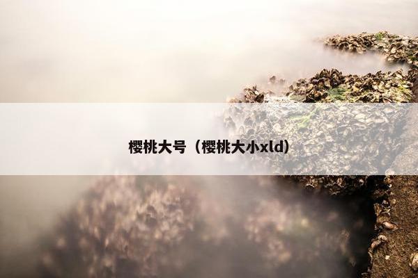 樱桃大号（樱桃大小xld）