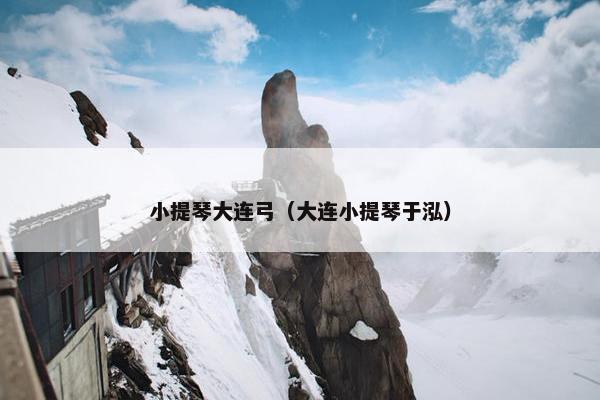小提琴大连弓（大连小提琴于泓）