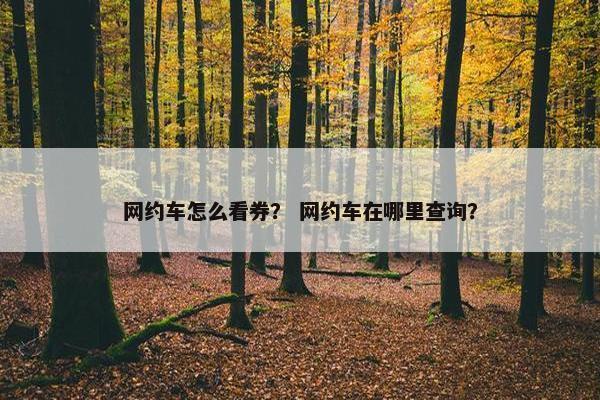 网约车怎么看券？ 网约车在哪里查询？
