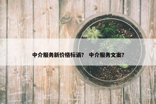 中介服务新价格标语？ 中介服务文案？