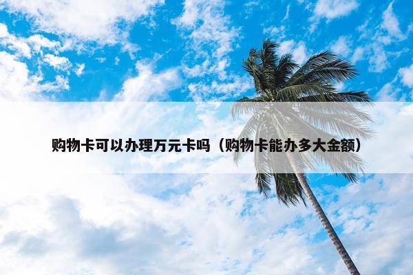 购物卡可以办理万元卡吗（购物卡能办多大金额）