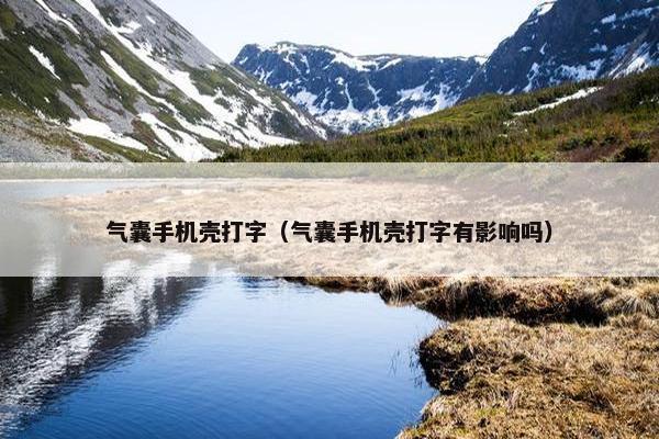 气囊手机壳打字（气囊手机壳打字有影响吗）