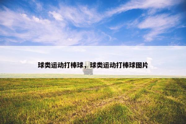 球类运动打棒球，球类运动打棒球图片