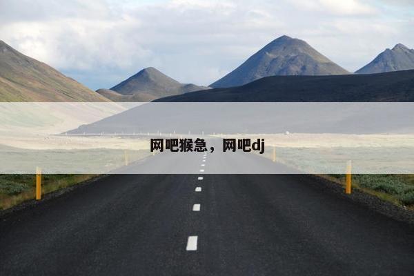 网吧猴急，网吧dj