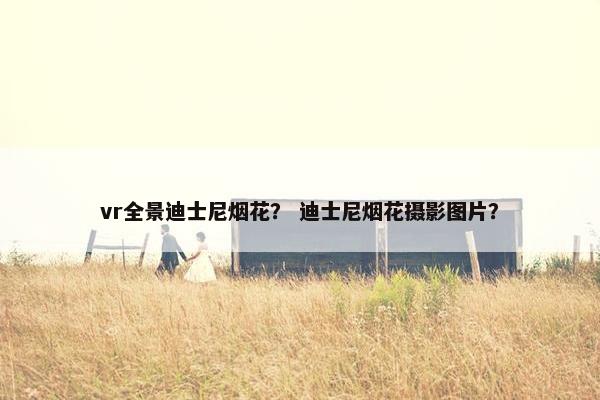 vr全景迪士尼烟花？ 迪士尼烟花摄影图片？