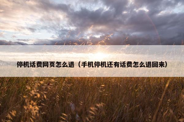 停机话费网页怎么退（手机停机还有话费怎么退回来）