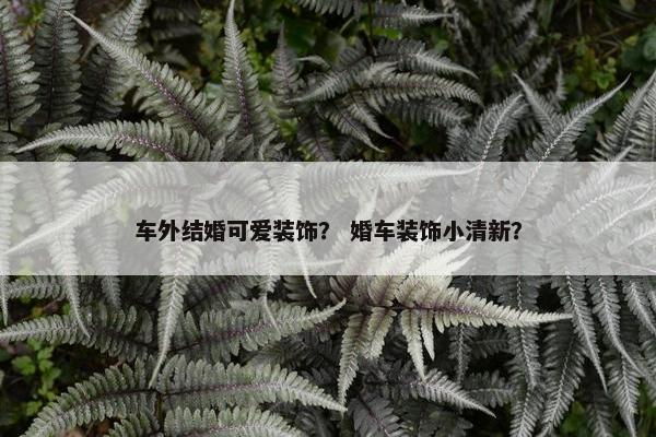 车外结婚可爱装饰？ 婚车装饰小清新？