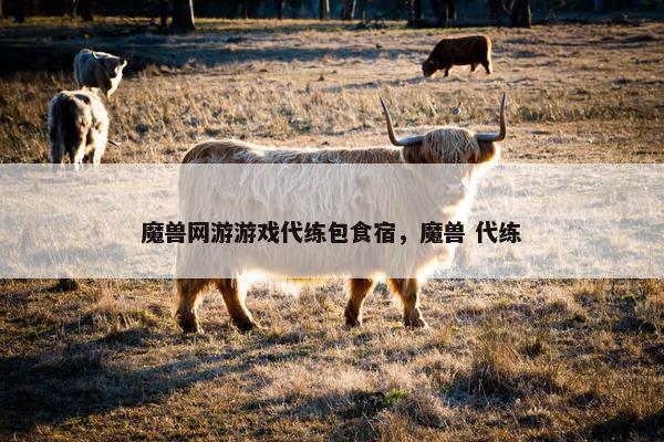 魔兽网游游戏代练包食宿，魔兽 代练