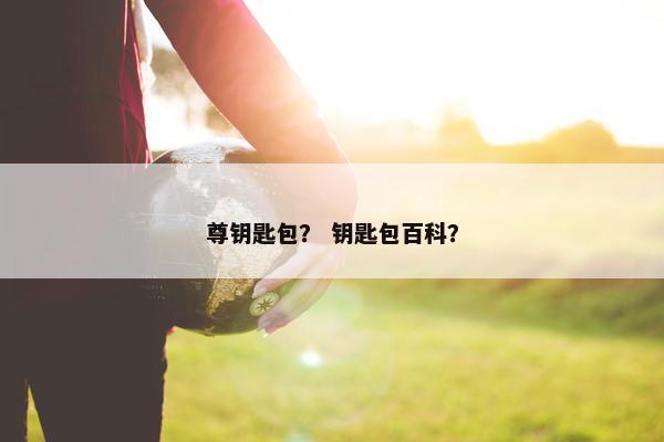 尊钥匙包？ 钥匙包百科？