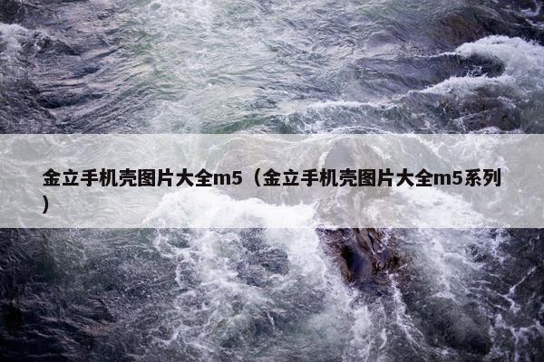 金立手机壳图片大全m5（金立手机壳图片大全m5系列）