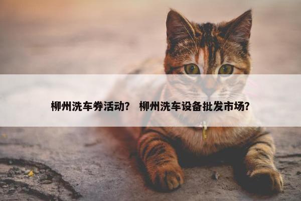 柳州洗车券活动？ 柳州洗车设备批发市场？