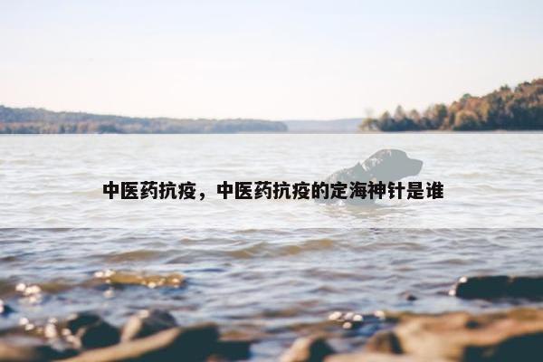 中医药抗疫，中医药抗疫的定海神针是谁