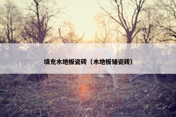 填充木地板瓷砖（木地板铺瓷砖）
